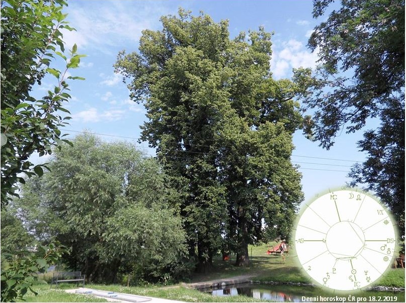 Denn� horoskop - obr�zek