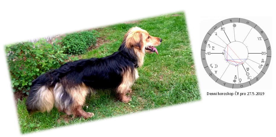 Denn� horoskop - obr�zek
