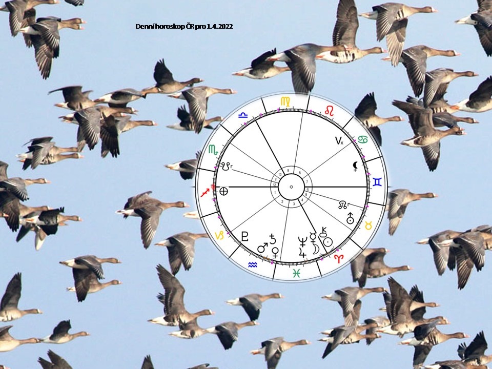 Denn� horoskop - obr�zek