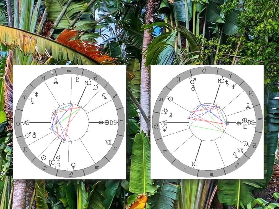 Denn� horoskop - obr�zek