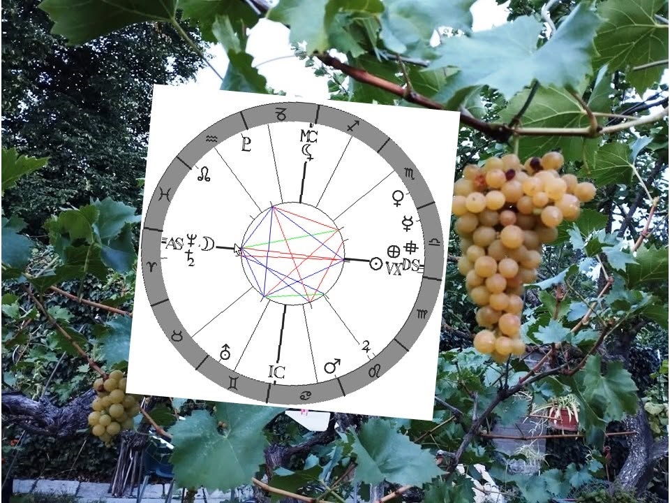 Denn� horoskop - obr�zek